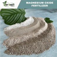 Magnesium Oxide Mag Oxide אבקת