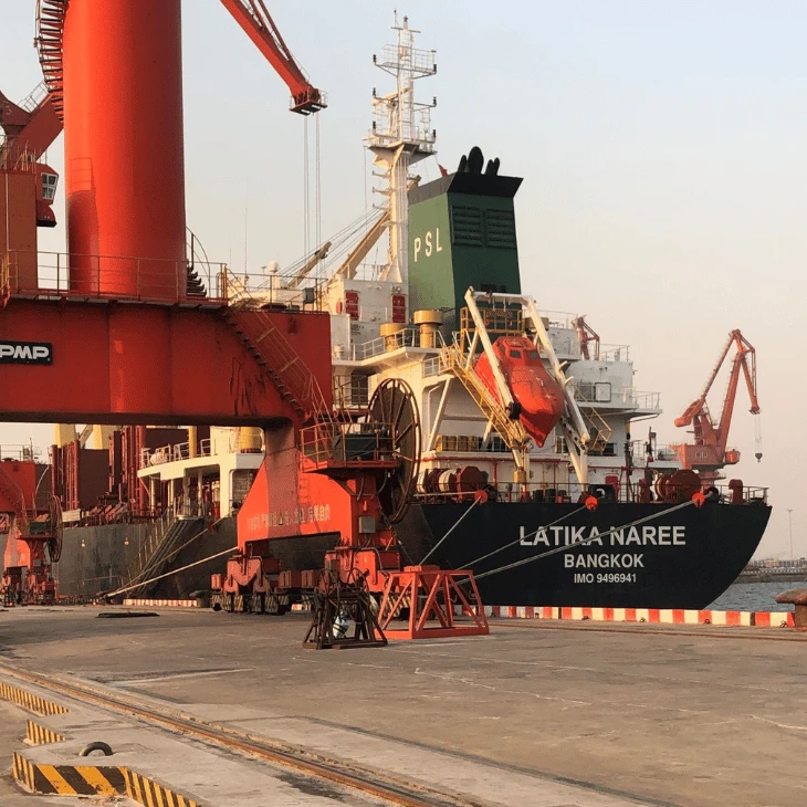 Dicalcium Phosphate Brazil Market