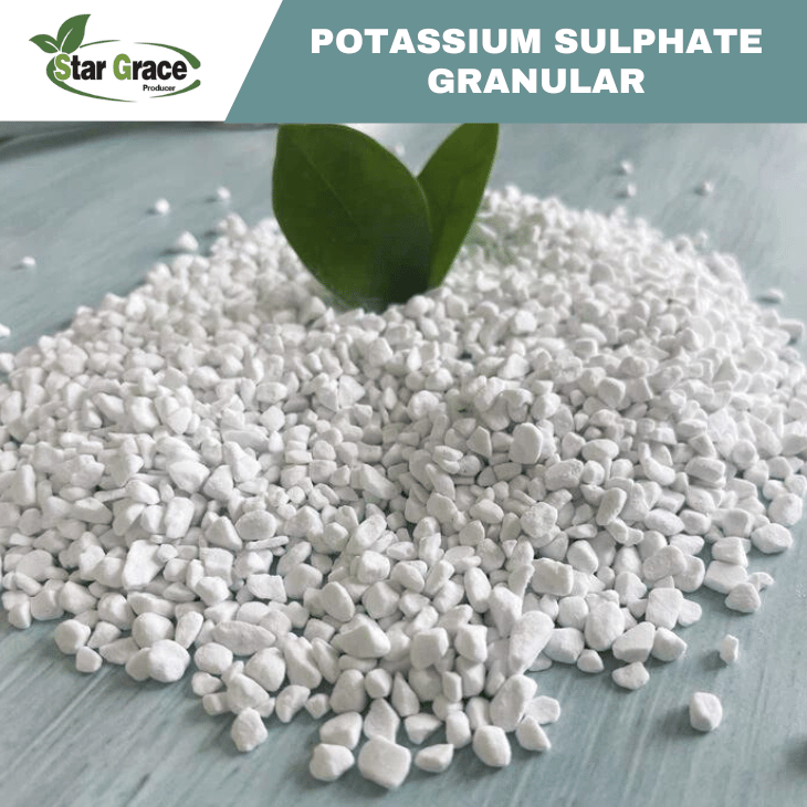 Granular Sulphate of Potash