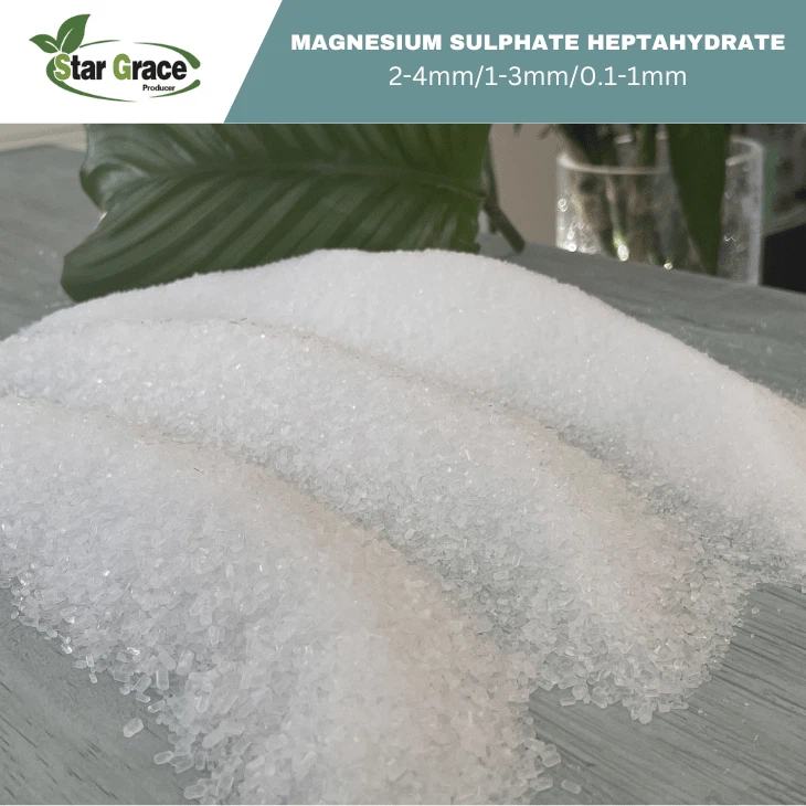 Magnesium Sulfate MgSO4 Epsom Salt