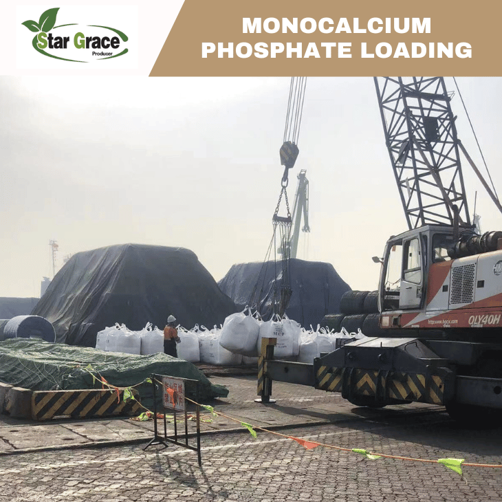 Monocalcium Phosphate(MCP) in Meat Processing