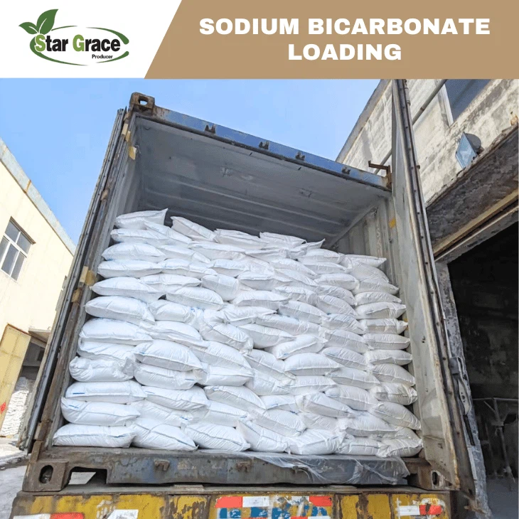 Sodium Bicarbonate And Hydrochloric Acid
