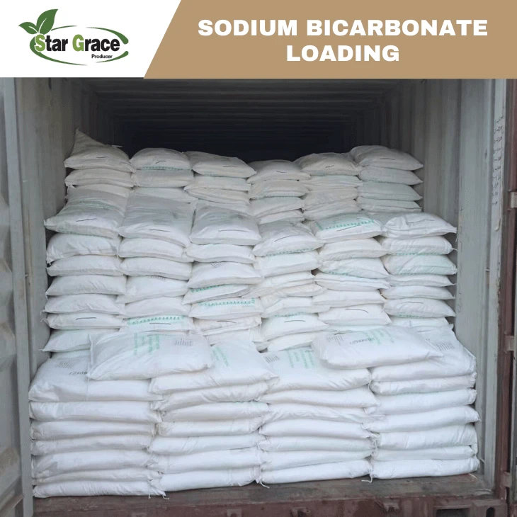 Sodium Bicarbonate For Animal Feed